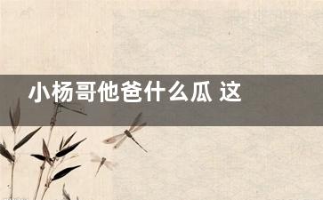 小杨哥他爸什么瓜 这就是人生如戏戏如人生